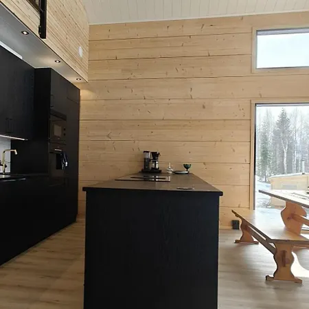 Villa New Modern Log *