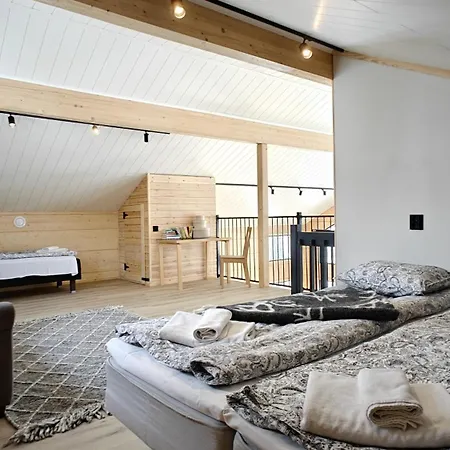 New Modern Log Villa