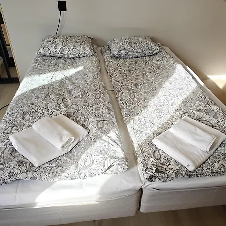 New Modern Log Villa