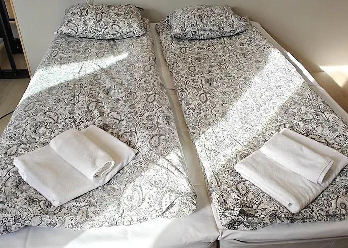 New Modern Log 别墅